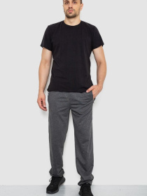 Штаны спортивные Ager модель У-1130079::000000087 Фото