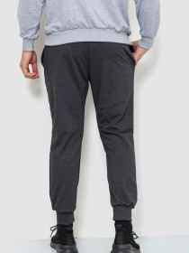 Штаны спортивные Ager модель У-1127579::000000087 Фото