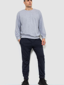 Спортивні штани Ager модель У-1127579::000000090 Спортивні штани Ager модель У-1127579::000000090 Фото