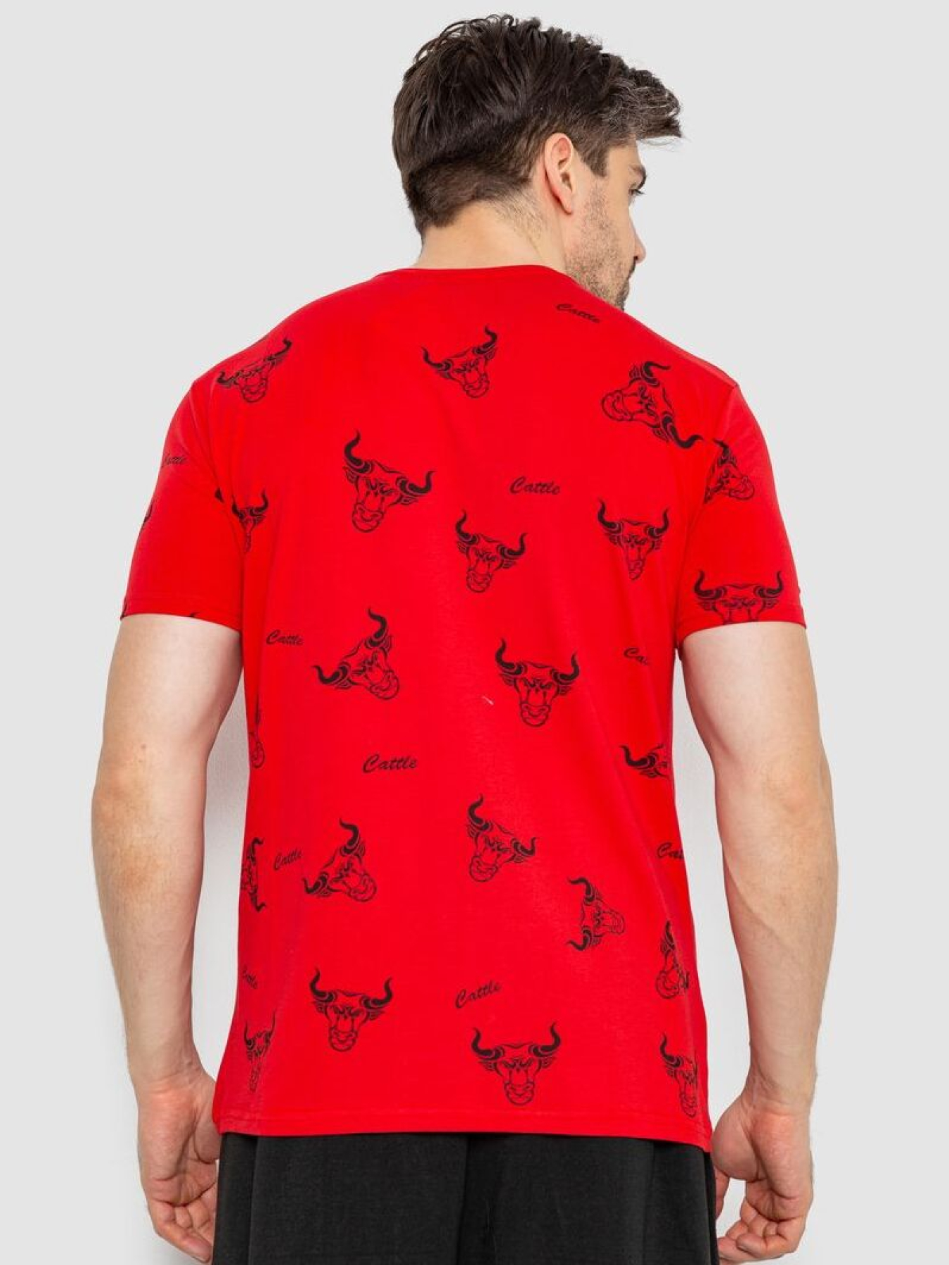 Футболка Ager модель У-1131165::000000050 Фото