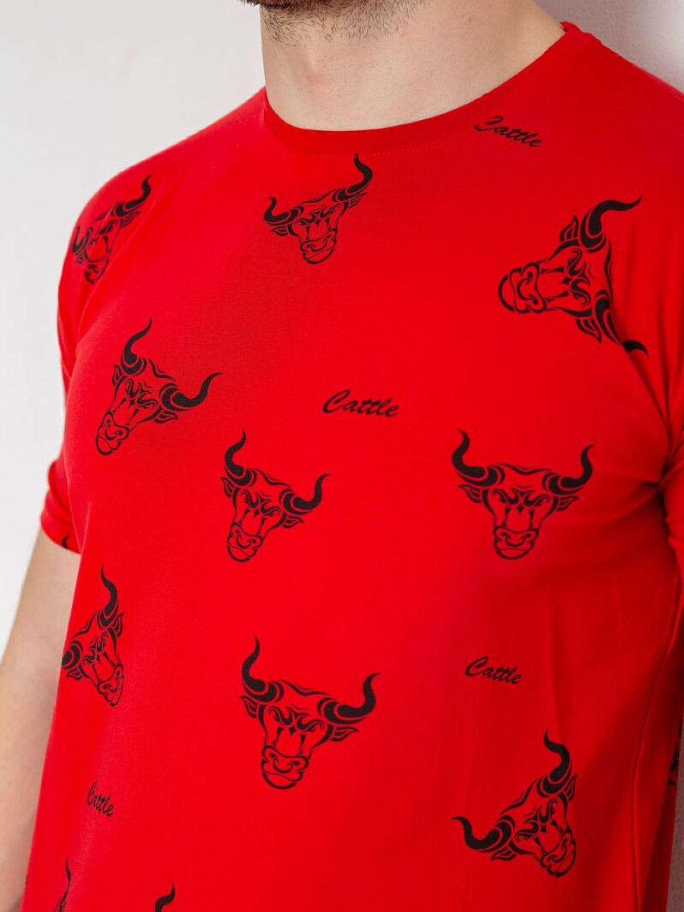 Футболка Ager модель У-1131165::000000050 Фото