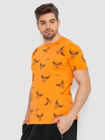 Футболка Ager модель У-1131165::000000062 Фото