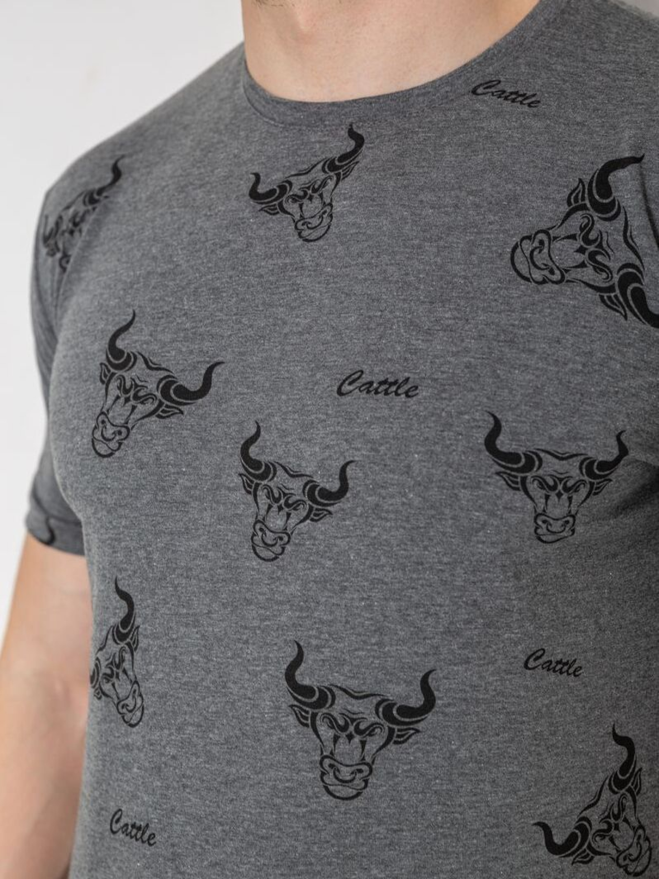 Футболка Ager модель У-1131165::000000072 Фото