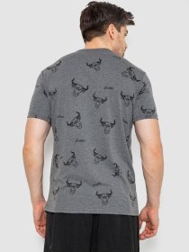 Футболка Ager модель У-1131165::000000072 Фото