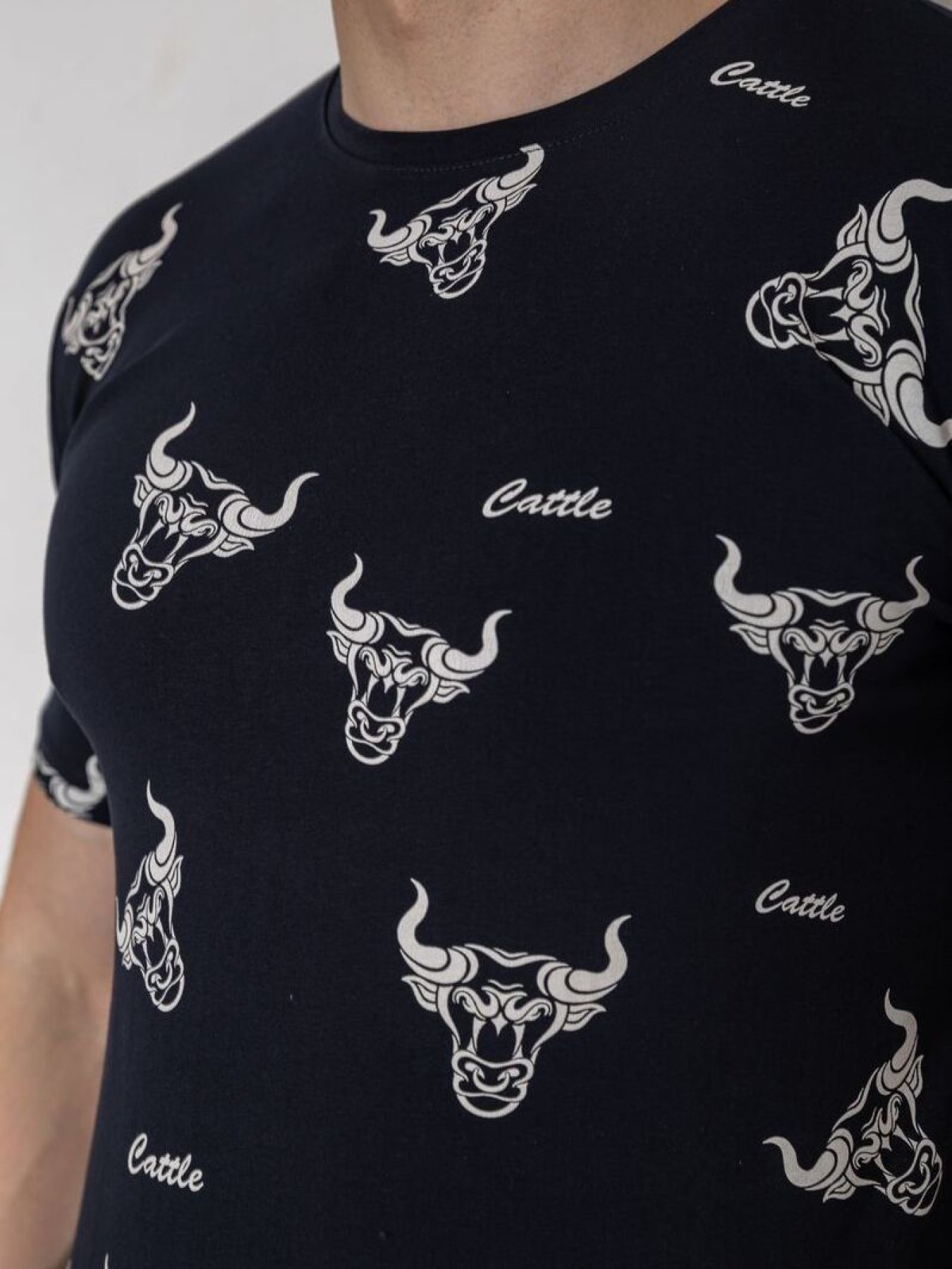 Футболка Ager модель У-1131165::000000090 Фото