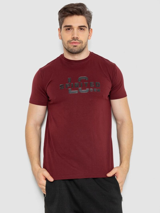 Футболка Ager модель У-1131173::000000029 Фото