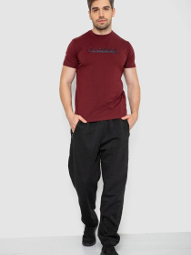 Футболка Ager модель У-1131154::000000029 Фото