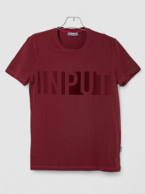 Футболка Ager модель У-1131151::000000029 Фото