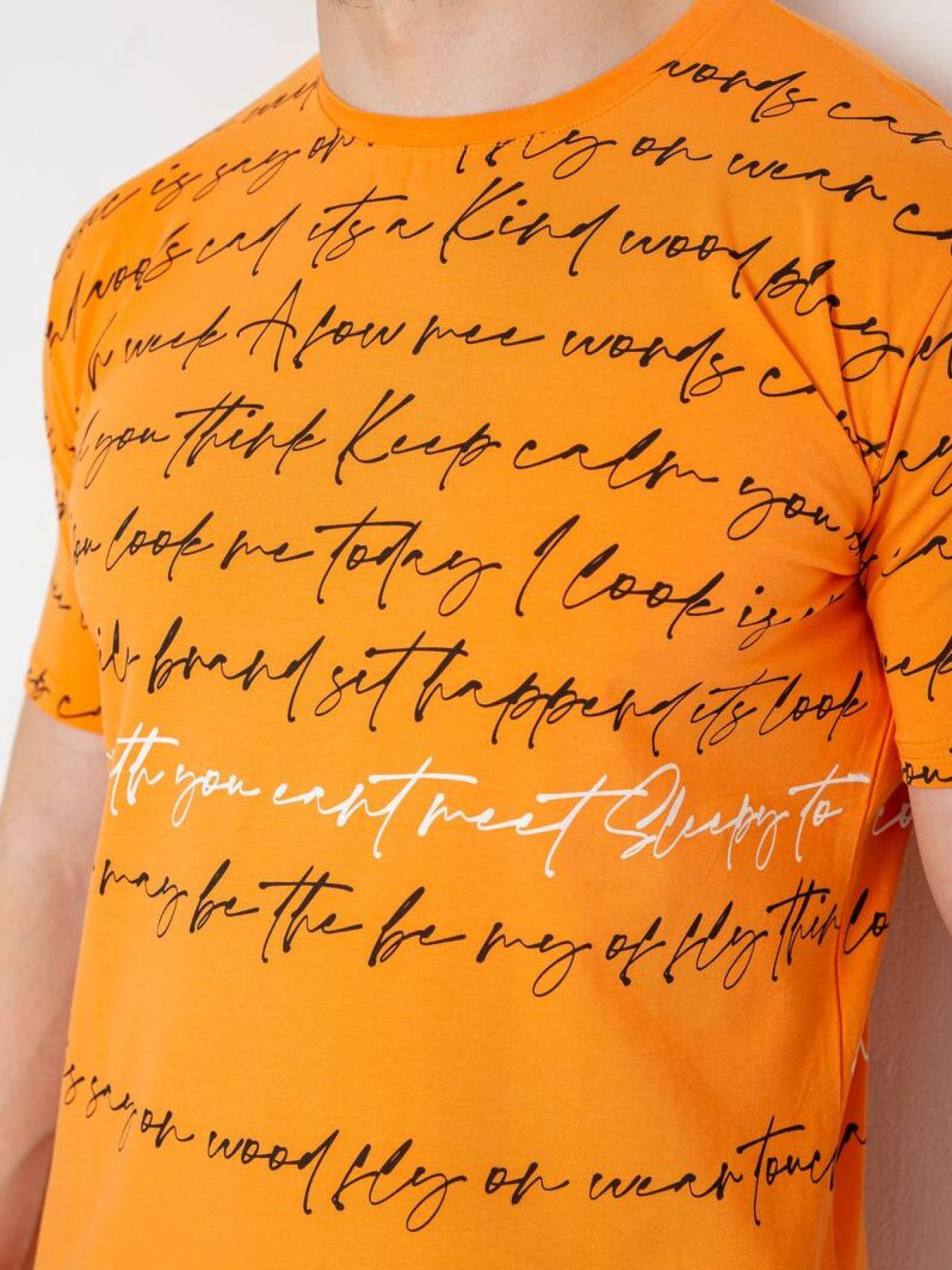 Футболка Ager модель У-1131169::000000062 Фото