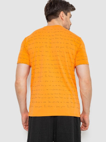 Футболка Ager модель У-1131170::000000062 Фото