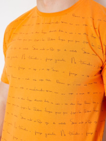 Футболка Ager модель У-1131170::000000062 Фото