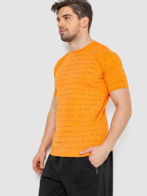 Футболка Ager модель У-1131170::000000062 Фото