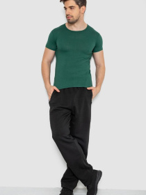 Футболка Ager модель У-1131156::000000040 Фото