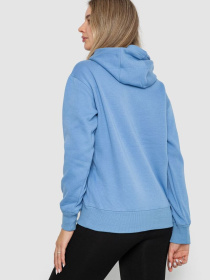 Худі Ager модель У-1131331::000000547 Фото