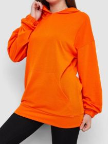 Худі Ager модель У-1129483::000000062 Фото