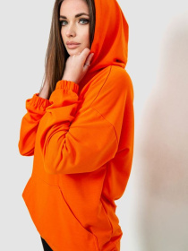 Худі Ager модель У-1129483::000000062 Фото