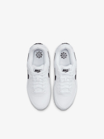 Кросівки NIKE модель DH8010.101 Фото