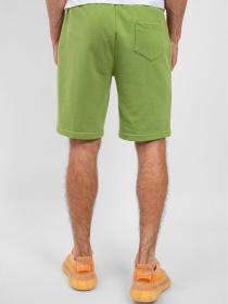 Шорты Suns Boards модель BFS41005U_SAGE Фото