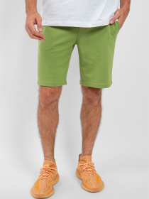 Шорты Suns Boards модель BFS41005U_SAGE Фото