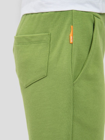 Повсякденні шорти Suns Boards модель BFS41005U_SAGE Фото