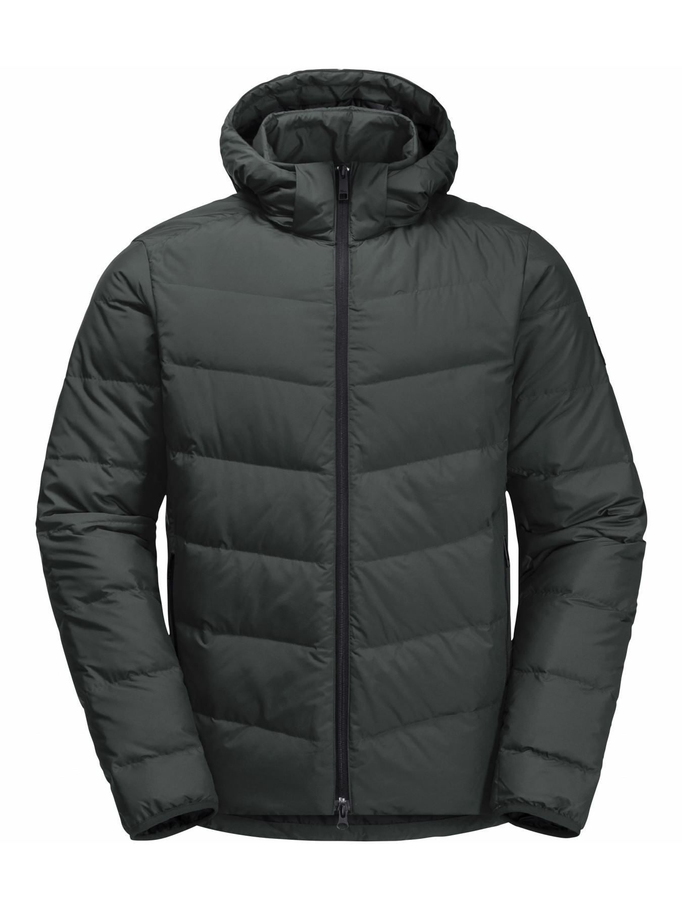 Пуховик Jack Wolfskin Colonius jkt m модель 1207431_4136 Фото