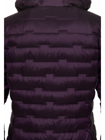 Пуховик Jack Wolfskin Passamani Down Hoody модель A61833_I0081 Фото