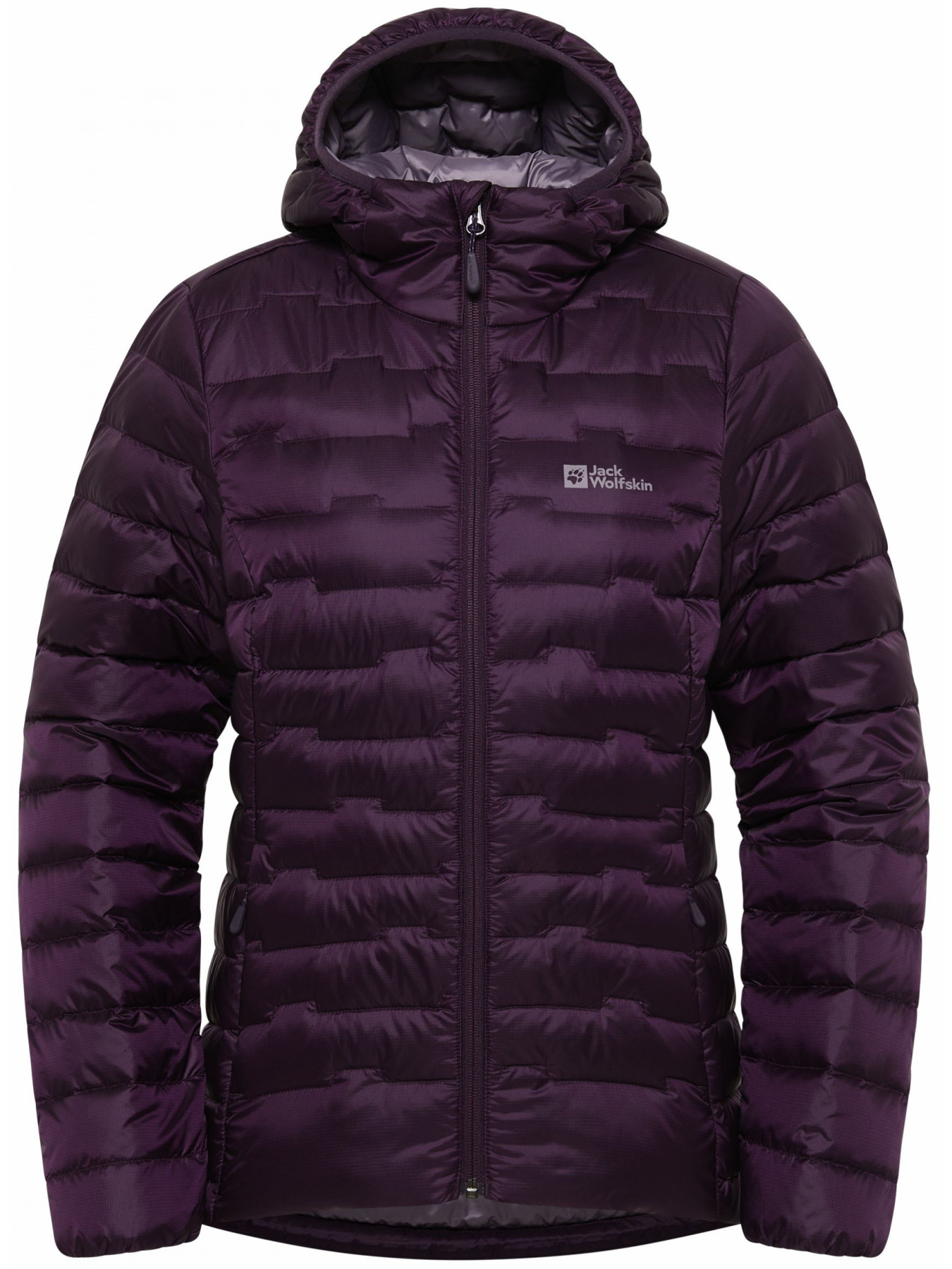 Пуховик Jack Wolfskin Passamani Down Hoody модель A61833_I0081 Фото