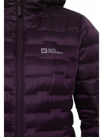 Пуховик Jack Wolfskin Passamani Down Hoody модель A61833_I0081 Фото