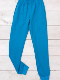 Штаны спортивные Носи своє модель 6232-057-goluba-blakitx Фото