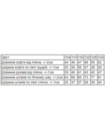 Спортивный костюм Носи своє модель 6018-023-33-malina Фото