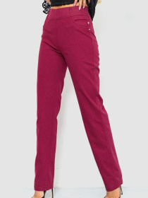 Повседневные штаны Ager модель У-1124964::000000029 Фото