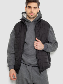 Жилет с утеплителем Ager модель У-1131424::000000096 Фото