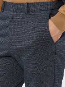 Класичні штани Arber модель M01.27.09.431 Фото