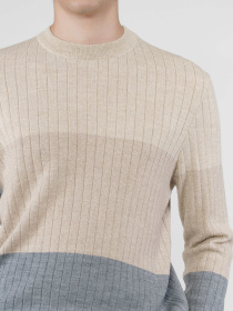 Джемпер Arber модель M10.19.16.431 Фото