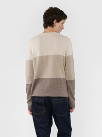 Джемпер Arber модель M10.28.16.431 Фото