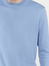 Джемпер Arber модель M10.53.23.431 Фото