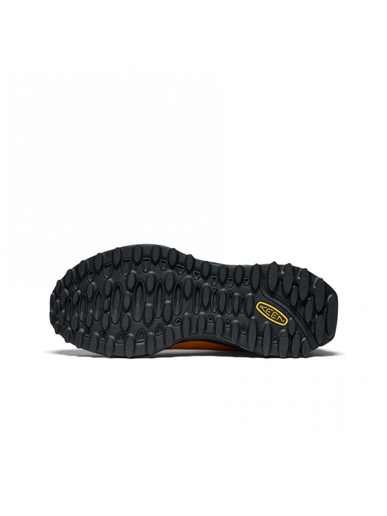 Кросівки аутдор Keen Jasper Zionic модель 1029583 Фото