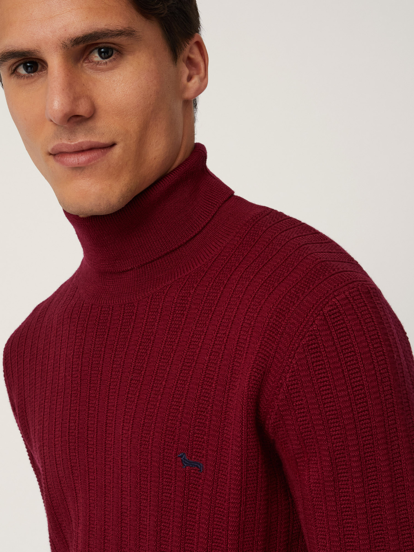 Водолазка Harmont&Blaine модель HRM697030277_532 Фото