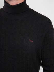 Водолазка Harmont&Blaine модель HRM697030277_999 Фото