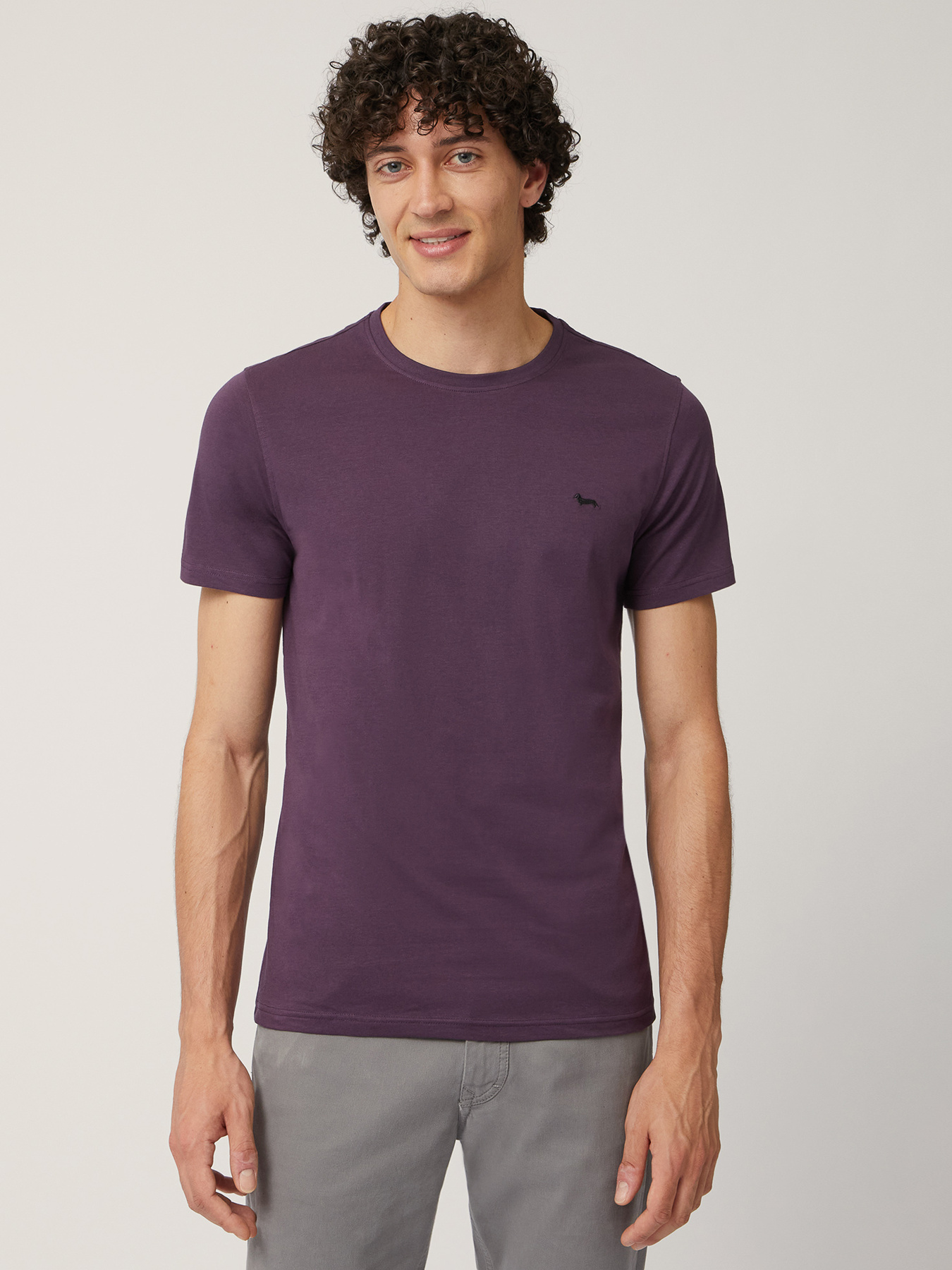 Футболка Harmont&Blaine модель INM001021055_588 Фото