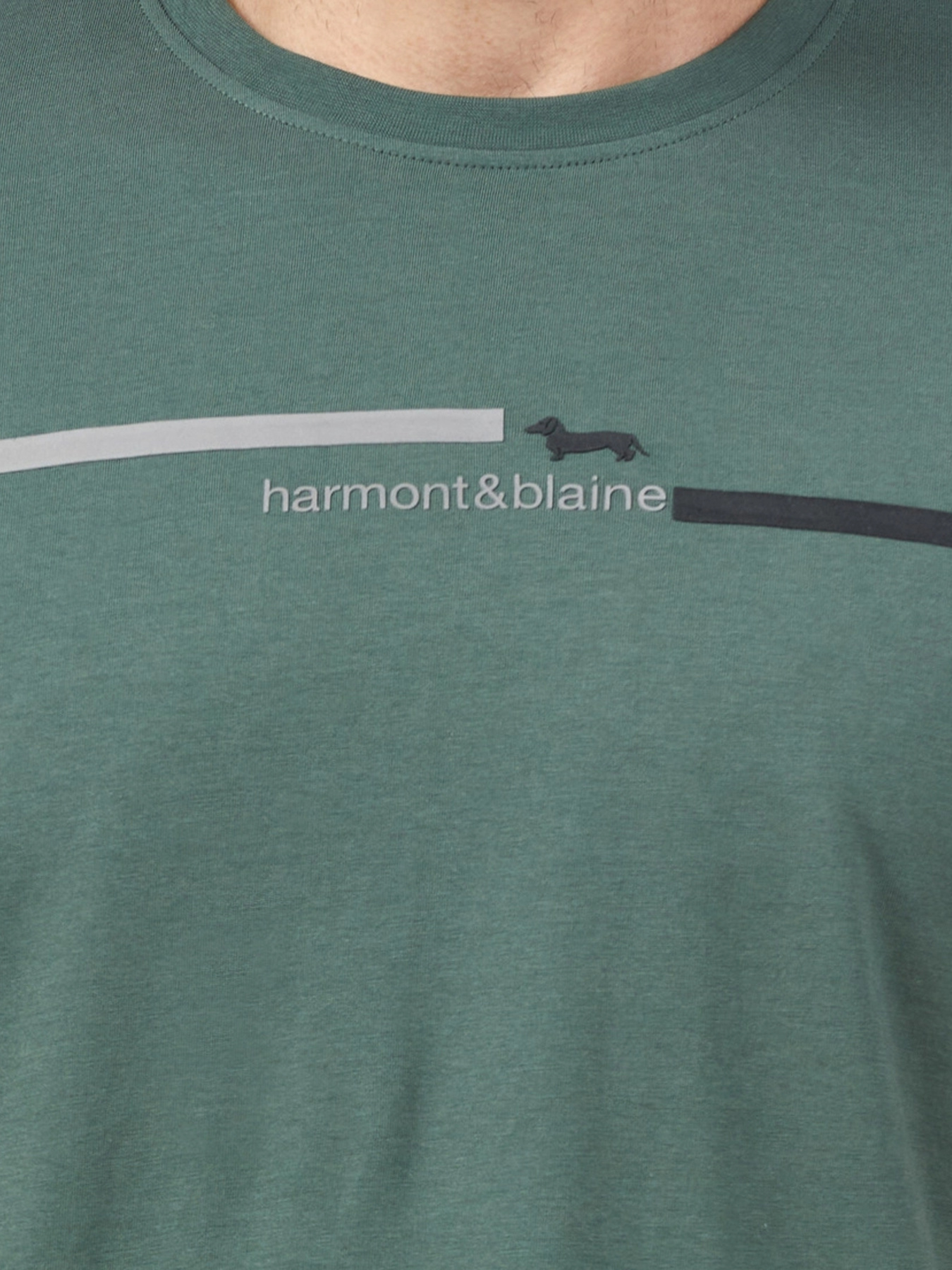 Футболка Harmont&Blaine модель IRM247021055_675 Фото