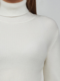 Водолазка J.B4 (Just Before) модель 8WB0201 Водолазка J.B4 (Just Before) модель 8WB0201 Фото