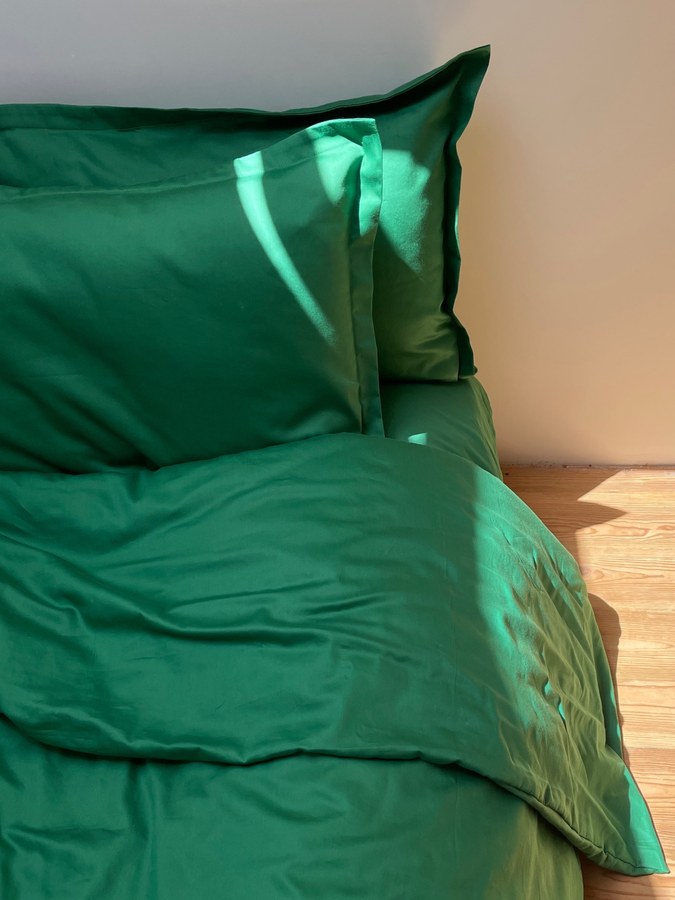 Наволочка класична зелена Cozy модель 9945722 Фото