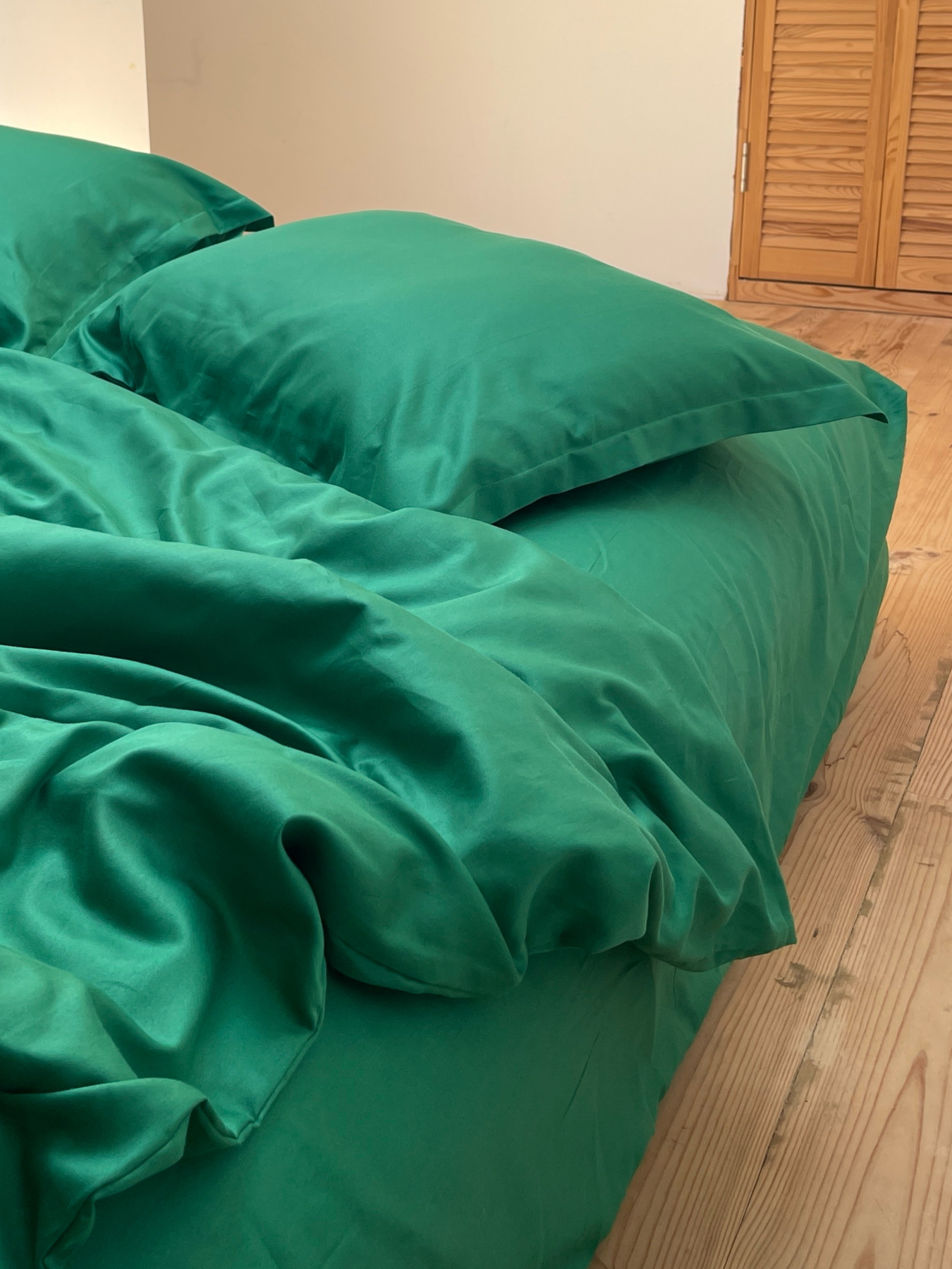 Наволочка класична зелена Cozy модель 9945722 Фото