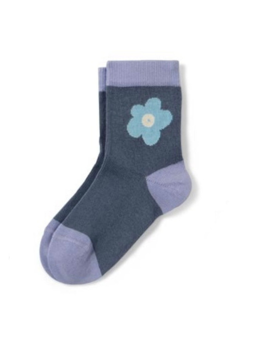 Шкарпетки та гольфи Tchibo модель T1724179092 Фото