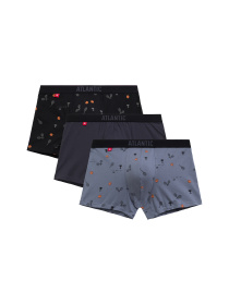 Набор трусов Atlantic модель 3MH-050_CZA_GRF_NIE Фото