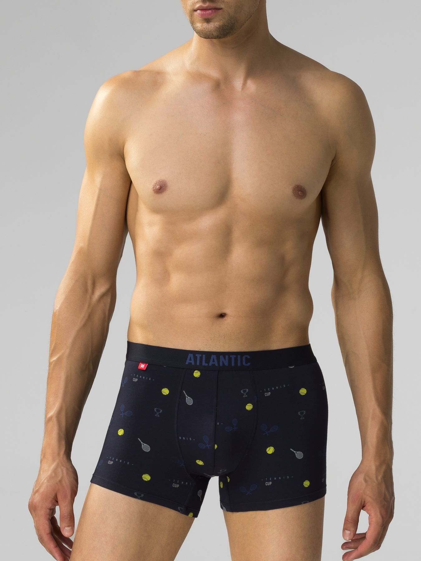 Набор трусов Atlantic модель 3MH-050_GRA_GRA_GRA Фото