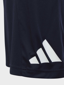 Шорты спортивные Adidas Clima модель IC5657 Фото