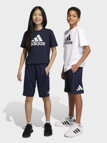 Шорты спортивные Adidas Clima модель IC5657 Фото