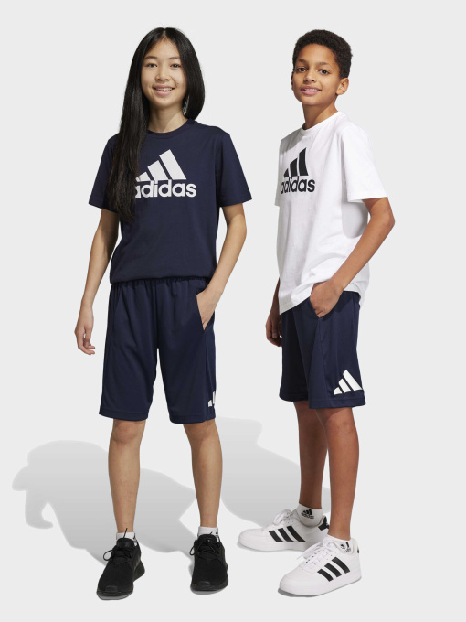 Спортивні шорти Adidas Clima модель IC5657 Фото